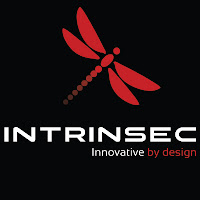 Logo d'Intrinsec