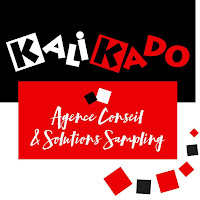 Logo d'Agence Kalikado