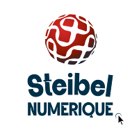 Logo de Steibel Numérique - Expert WordPress & SEO