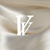 Logo de V&V Social Media Agency