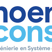 Logo de NOEMI Conseil