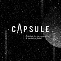 Logo de Capsule Stratégie