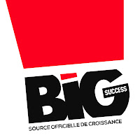 Logo de BIG SUCCESS