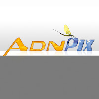 Logo d'AdnPix