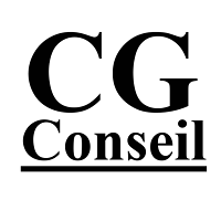 Logo de CG Conseil - Consultant marketing SEA