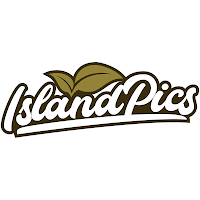 Logo d'ISLANDPICS.ART