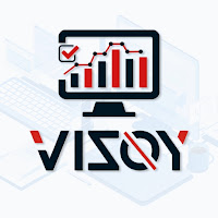 Logo de Vizoy