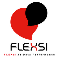 Logo de Flexsi