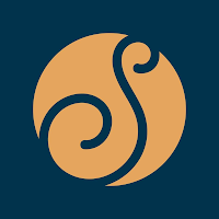 Logo de Studio Singularité | Graphiste freelance à Nantes
