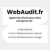 Logo de WebAudit France