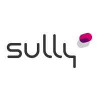 Logo de Sully Group - Agence de Nantes