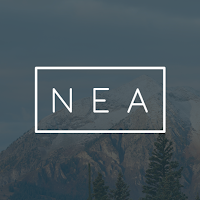 Logo de NEA