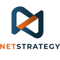 Logo de Net Strategy - Agence SEO & Marketing Digital Lyon