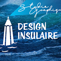 Logo de Design Insulaire