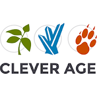 Logo de Clever Age Toulouse