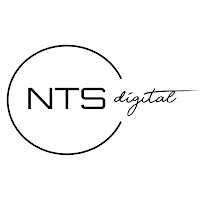 Logo de NTS agency | Création de site WEB • Identité visuelle • Consulting