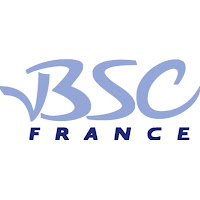 Logo de Business Software Consulting