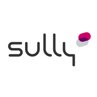 Logo de Sully Group - Agence de Strasbourg