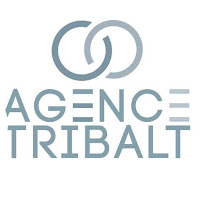 Logo d'Agence tribalt - Création de site internet à Grasse