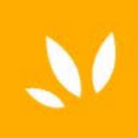 Logo de Web Tribe Studio