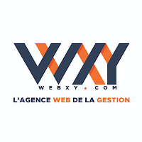 Logo de WebXY