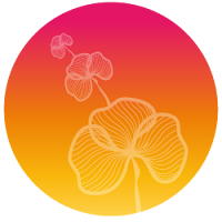 Logo d'AGENCE DE COMMUNICATION GRAPHIQUE ET DIGITALE POUR LES METIERS DU BIEN-ETRE ET DES THERAPIES HOLISTIQUES • CELINE ANNON