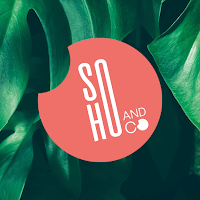 Logo de Sohoandco