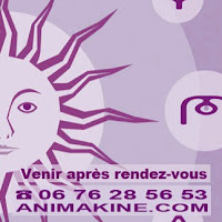 Logo de Création site Internet, Design, 3D, Photo, Vidéo, Cinéma, DVD, IA - Animakine.Com