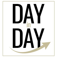 Logo de DAY IN DAY Agence Partner Premier