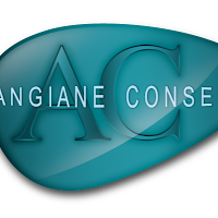 Logo de Création de site internet ANGIANE CONSEIL Agence web accompagnement et conseil marketing digital