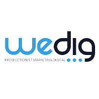 Logo de Wedig