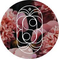Logo de Sarah Berrier, créatrice de logos et de sites web merveilleux