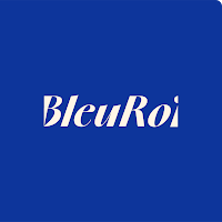 Logo de Studio Bleu Roi