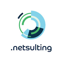 Logo de Netsulting