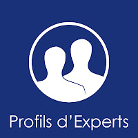 Logo de Profils d'Experts