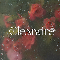 Logo de Cléandre Capredon Graphic Designer