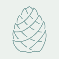 Logo de Pixel et Pinède