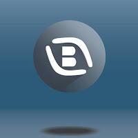 Logo d'Agence Boomerang