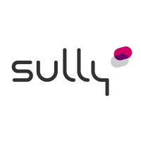 Logo de Sully Group - Agence de Paris Île-de-France