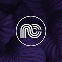 Logo de Net Concept