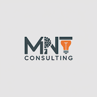 Logo de MNT CONSULTING