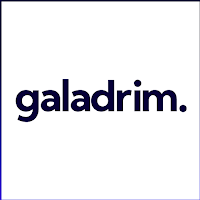 Logo de Galadrim | Développement web, mobile et IA