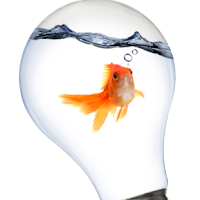 Logo de 3dfi.net