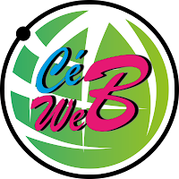 Logo de CeweB83 - Graphiste et webdesigner