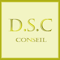 Logo de DSC CONSEIL