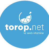 Logo de Torop.Net