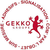 Logo de Vdls - Groupe GEKKO