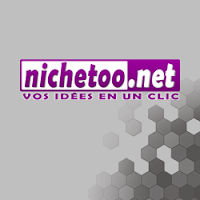 Logo de Nichetoo.net