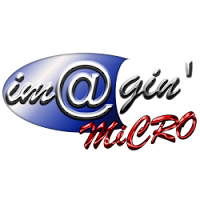 Logo d'Imagin Micro