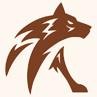 Logo de RayDev